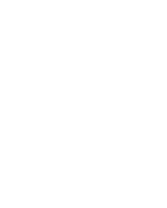 Organização atendida